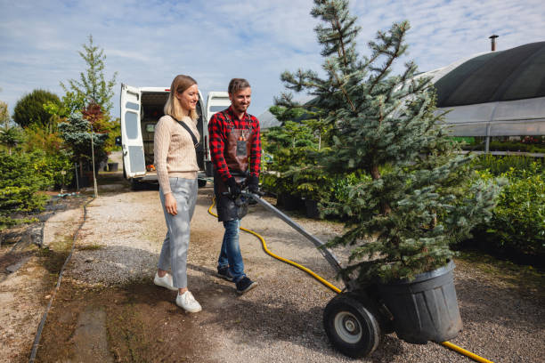 Lawn Maintenance Plans in Okarche, OK